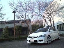 見頃♪