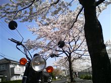 久しぶりに