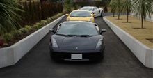 Gallardo&#215;3