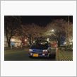 市役所さくら通り
