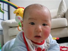 僕の一日