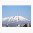 鷲が現れたので・・・
