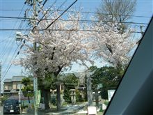 尾張の車窓から