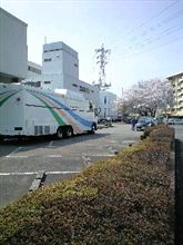 被爆の季節