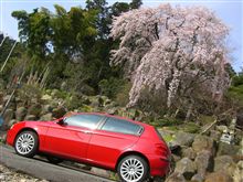 フレッシャーズシーズンdeお花見＆偵察へ♪