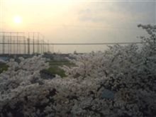 今日の一枚♪