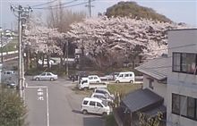 外を見ると