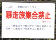 ☆なんじゃ～、こりゃ～？？☆