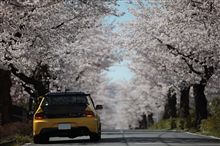 早朝ドライブ
