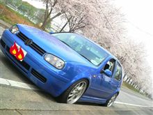 桜の季節ですね♪