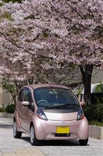 サクラと桜