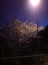 朝５時うちの玄関から見える景色
