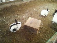 かなしいかった一日