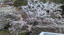 入園式