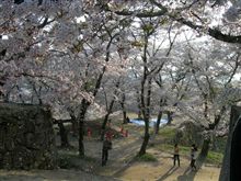 鶴山公園