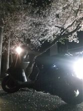 しぇいくだうん