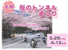 桜のトンネル