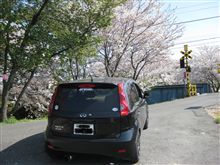サクラ日和