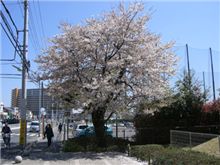 入園式
