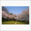 『ＨＡＣＨＩ　約束の犬』