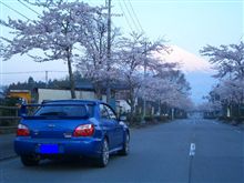 桜・・・満開♪