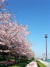 良い天気…だけど仕事ｗ