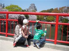 お花見♪