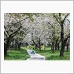 三里塚公園にて