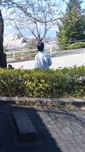 何故でしょうか…