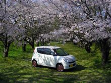 ワゴンR洗車Wax + 夏タイヤへ。