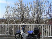 ポカポカ陽気に誘われて
