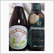 地ビールの春♪ 飛び込み篇  ...