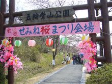 お花見？