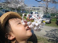 お花見日和～♪♪
