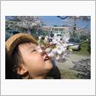 お花見日和～♪♪