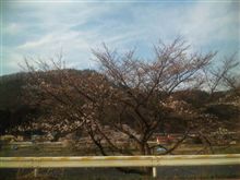 やっと