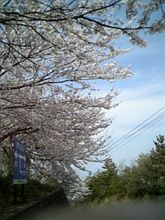 結婚記念日でした