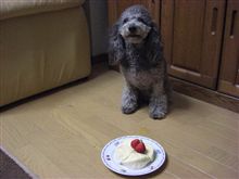９歳になりました！