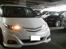 お披露目プチオフ