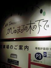 がじゅまるの木の下で