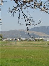平日デート