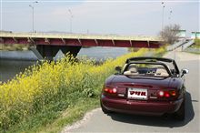 自動車購入補助金で旧車の運命は？
