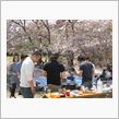 花見＆BBQ