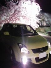 桜まいちる～(・∀・)