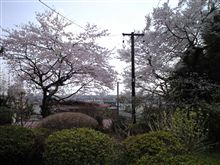 ライブ行きたいけど…