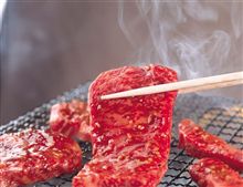 初めてのうこんの力