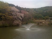 豊川花見＆ウォーキング