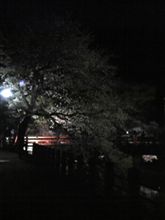 14・15は、高山祭
