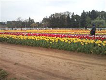 あけぼの公園に…