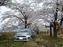 SAKURA2